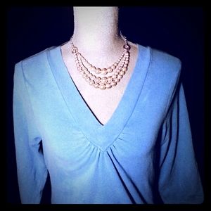 DNLA Soft Blue Vneck Top size Large